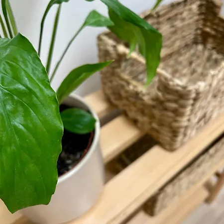 Bytik Pod Tatrami - Apartment